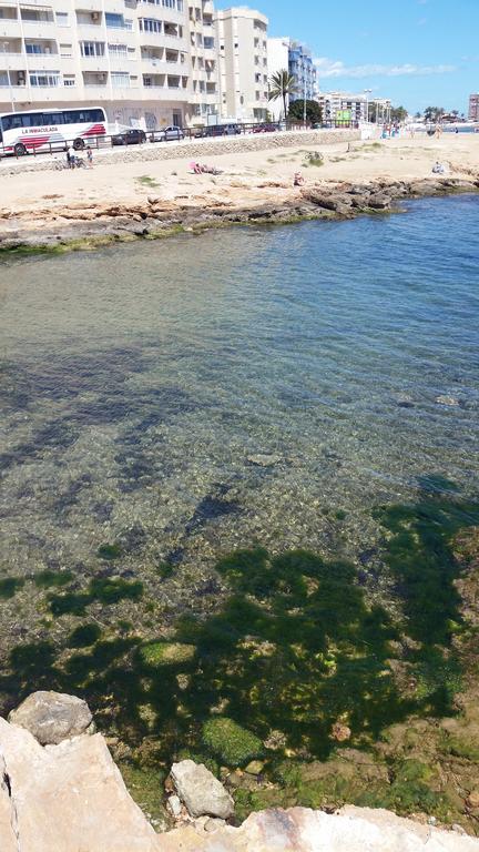 Apartamento Mariposa Leilighet Torrevieja Eksteriør bilde